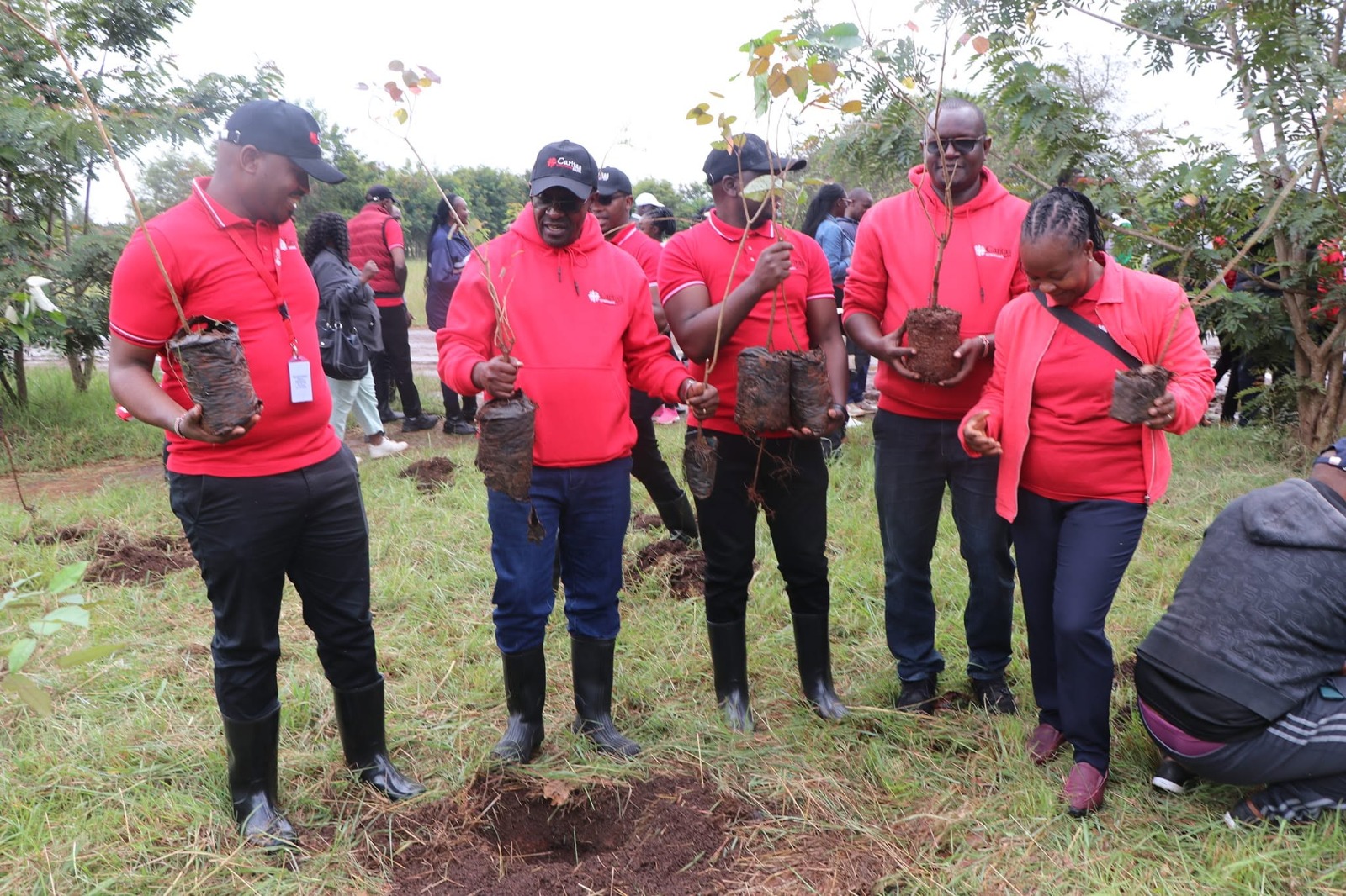 Sustainable project financed by Caritas MFB