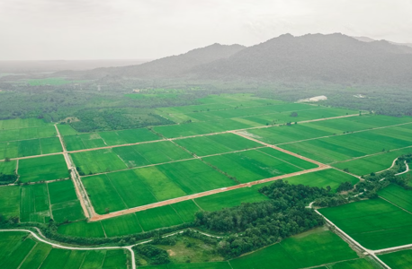 Plot/Land Purchase
